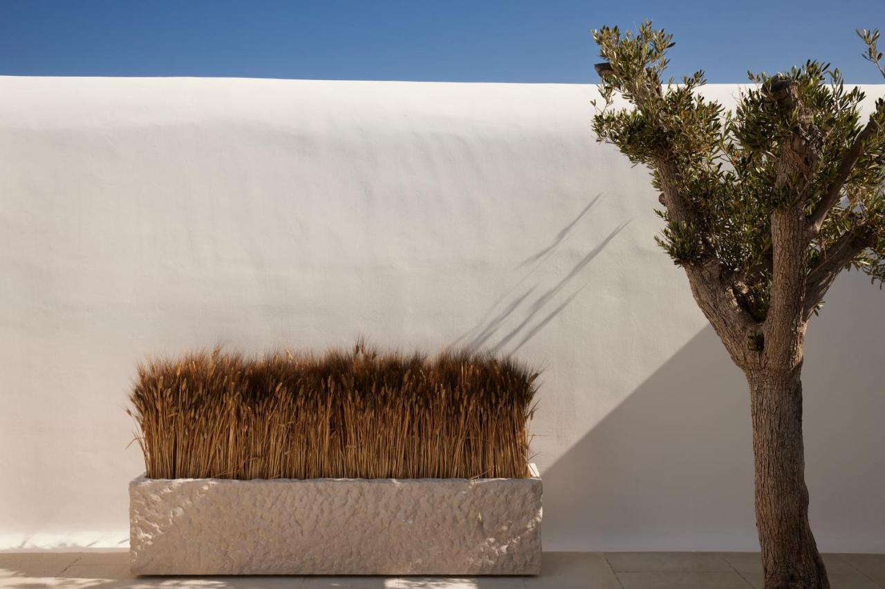 Hotel Kalesma Mykonos Ornos  Exteriér fotografie
